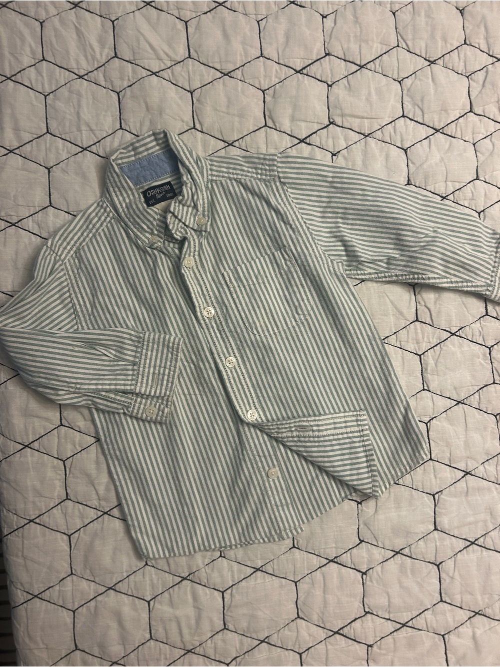 OshKosh B'gosh Light Green and White Striped Button-Down Shirt